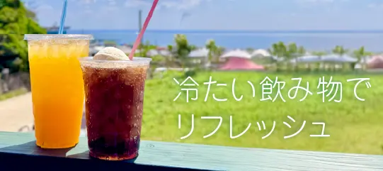 ソフトドリンク|Barringtonia|ヴィラ バリントニア